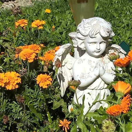 Les Nids De Mesanges D'hotes * Selonnet